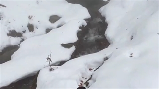 بخاری مناسب طبیعت با سوخت هیزم