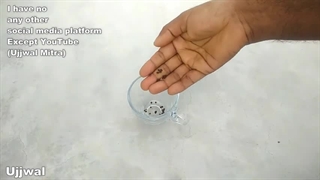کاشت و پرورش گیاه هل در خانه