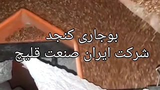 بوجاری کنجد