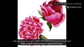 دانلود کلیپ آرت آبرنگی گل Peony Watercolor Png