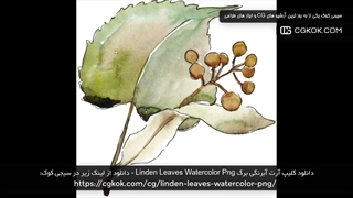 دانلود کلیپ آرت آبرنگی برگ Linden Leaves Watercolor Png