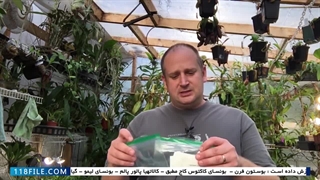 پیوند زدن گیاهان -(تعویض گلدان زبان مادر شوهر)