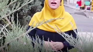 چرایی نه گفتن