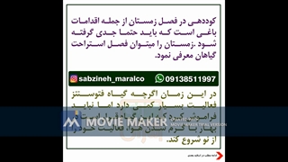 اهمیت کوددهی در زمستان_مشاوره ی واتساپ 09138511997_سبزینه مارال