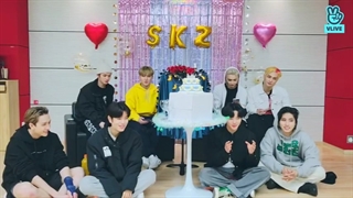 لایو گروهی Stray Kids بعد از مراسم ماما(MAMA) با زیرنویس آنلاین فارسی