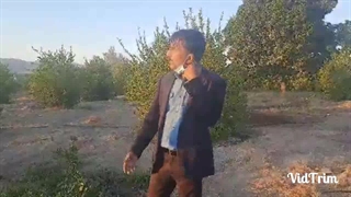 مستند رهایی