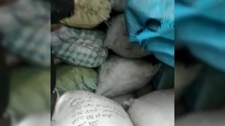 دستگاه زغال ساز09122478100عباس صفاعلی خط تولید زغال فشرده چینی کوره صنعتی زغال نوین ابتکار صنعت