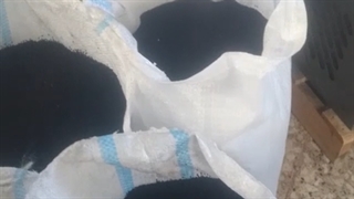 فروش فوق العاده سیاه دانه سورت لیزر شده با قیمت ارزان