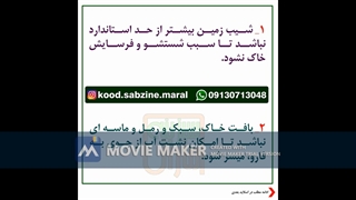 کشت گندم روی پشته دایمی_مشاوره ی اتساپ09130713048_سبزینه مارال
