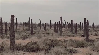 شب یلدا را چگونه می‌توان گرامی داشت؟