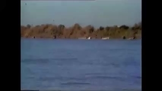 آمادگی رزمی نیروهای تحت امر شهید کاظمی بر روی کارون + فیلم