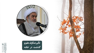 تأثیر شگرف عفو و گذشت در خانه(آیت الله العظمی مظاهری)