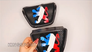 آرم جلوپنجره فرانسه پرشیا (رنگ شده) "کینگ اسپرت"