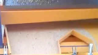 بوجاری ارزن