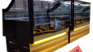 یخچال پروتئین ونوس برودت