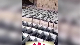 دستگاه زغال ساز09122478100عباس صفاعلی خط تولید زغال فشرده چینی کوره صنعتی زغال نوین ابتکار صنعت