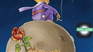 زمین رو زرد