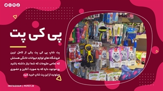 پت شاپ پی کی پت