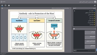 ایمنی جلسه 11