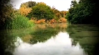 فرمشکان کوار