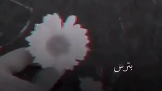 بترس از اونیکه دلشو شکوندی