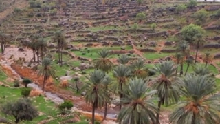 پاپون کوهمره