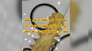 سمکة القرش sawfish blade narrow