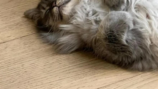 آپدیت های امروز نفس بی نام(پارک شین هه) FULL HD کمیاب کامل(موبیل شیطون) اختصاصی کانال تنها منبع اصلی