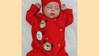 آرن نازنین