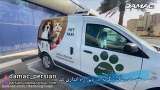 تاکسی مخصوص سگ و گربه در دبی راه اندازی شد