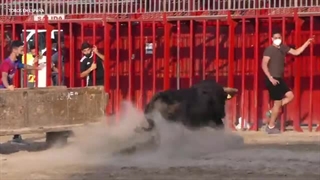 مسابقات مبارزه با گاو وحشی در مکزیکوسیتی سال 2022