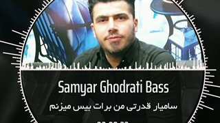 Samyar Ghodrati Bass