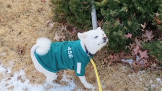 پست جدید نامجون اینستا کپ