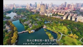 شور و شوق بیست سالگی