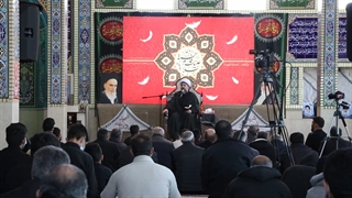 پروانه های زهرایی