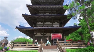 علی کرامتی و فرهنگ شکرگزاری ژاپنی ها