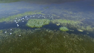 معرفی گردشگری استان