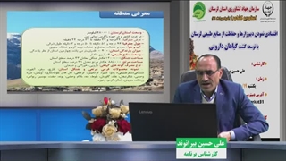 اقتصادی کردن دیمزارها