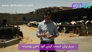 پوساندن کود دامی با زئولیت