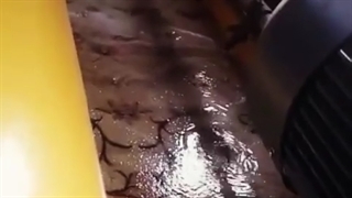 دستگاه قالیشویی قدیری ساری با دوربین نقدونه