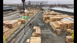 چوب روسی برند ریتون - خرید آنلاین چوب