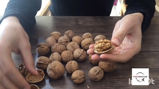 اشنایی با گردو چینی در بازار