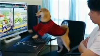 خوب شد مانیتور نشکست