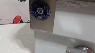 سرخ کن دو لگن برقی شیردار 10 لیتری آبا