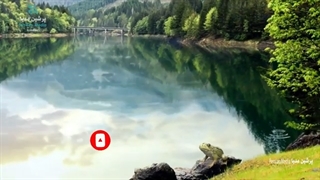 کلیپ انگیزشی | داستانک بسیار زیبا و الهامبخش