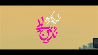 دانلود آهنگ جدید شهرام شکوهی به نام نازنین لیلی