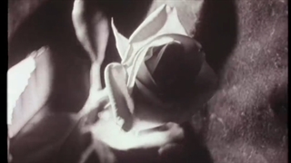 FARSISUB  Françoise_Hardy_Mon_amie_la_rose_1965