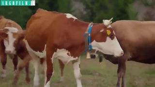 سریال ترکی ستاره شمالی | قسمت 5 | دوبله فارسی | کانال گاد | T.ME/GODMOV