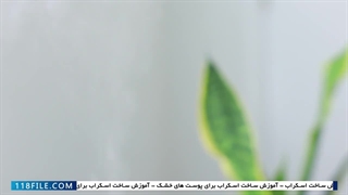 تهیه اسکراب خانگی -  (حذف سلول های مرده پوست)