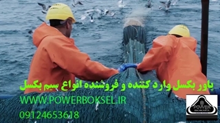 پاور بکسل وارد کننده و فروشنده انواع سیم بکسل